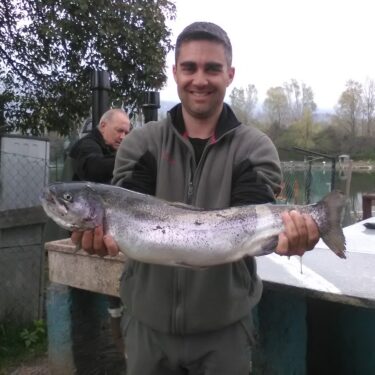 luccio perca lago betulle