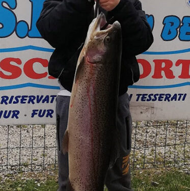 lago betulle baveno (1)
