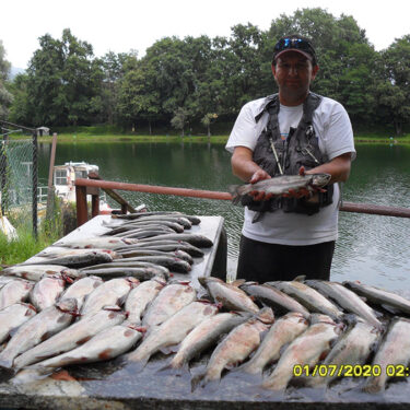 lago betulle baveno (25)